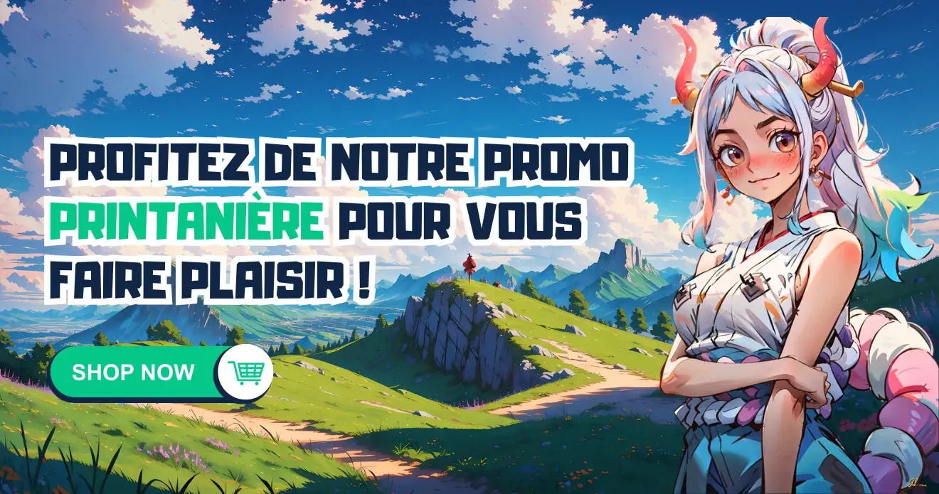 FIGURINE MANGA FRANCE